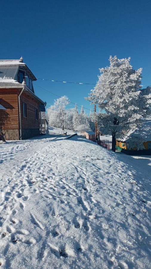 Villa Gutsulska Oselya Krivopol'ye Esterno foto