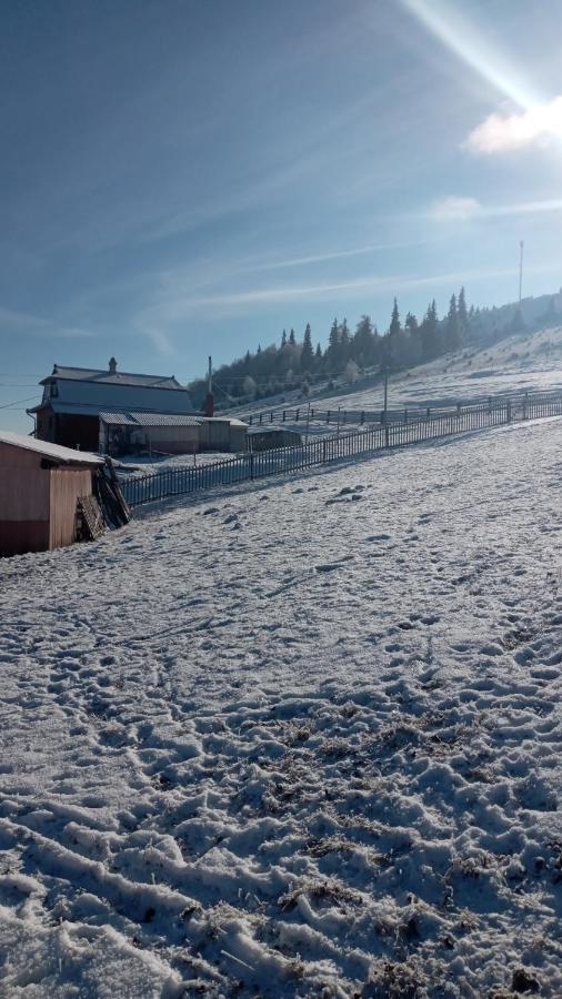 Villa Gutsulska Oselya Krivopol'ye Esterno foto