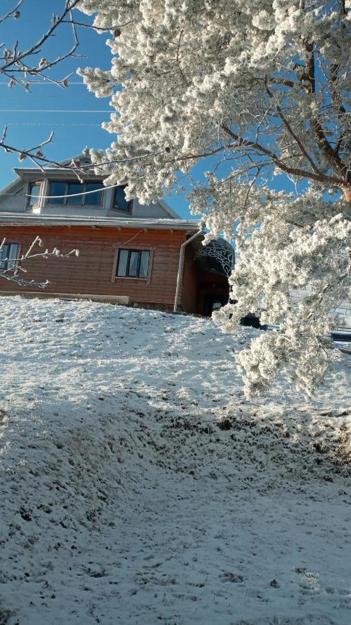 Villa Gutsulska Oselya Krivopol'ye Esterno foto
